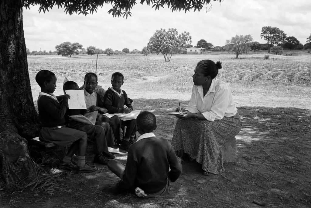Early Witness Accounts at Ariel School