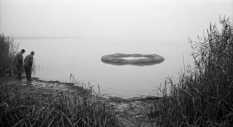 Witness View from Shore