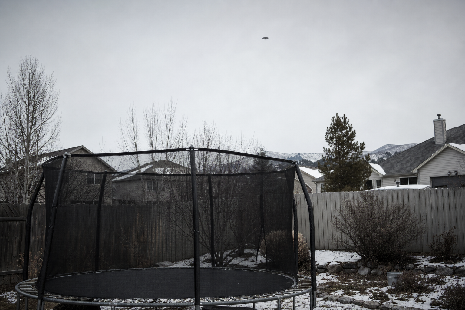 Reported Oval Above Backyard Trampoline