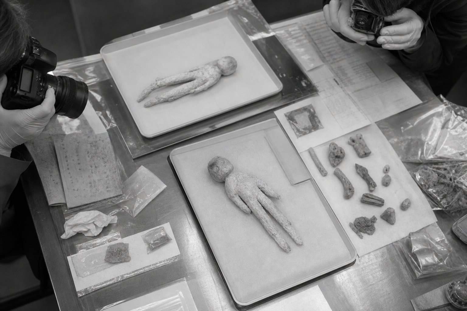 Forensic review of seized figures