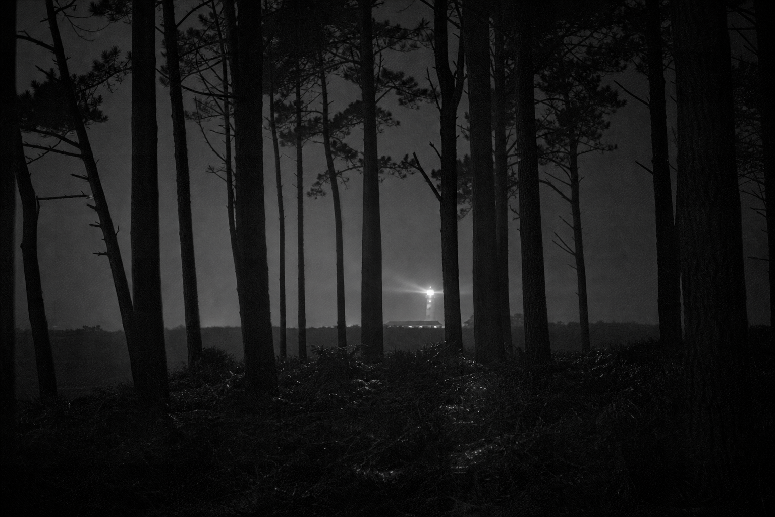 Beacon through the pines