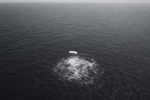 Aerial encounter over disturbed water