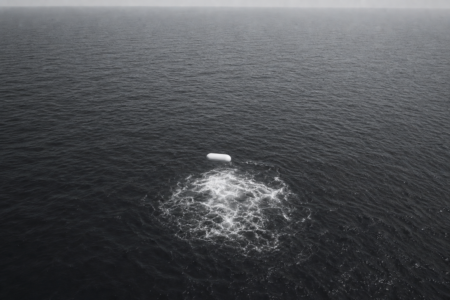 Aerial encounter over disturbed water