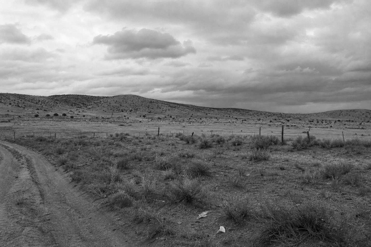 Foster Ranch Landscape