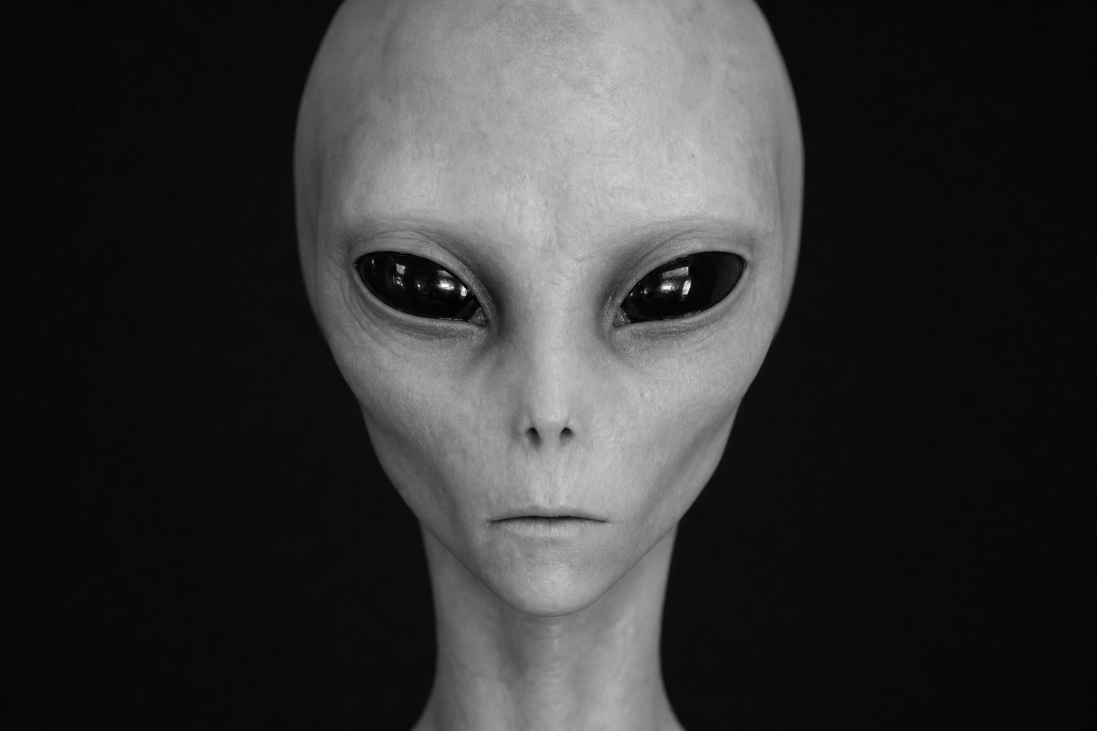 The Face That Became a Visual Shorthand