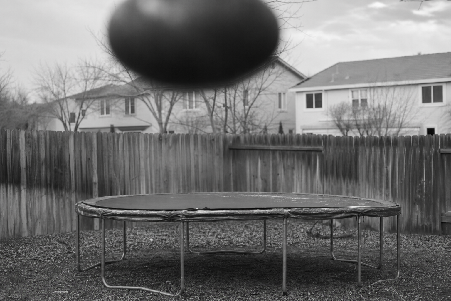 Perspective Test in a Backyard