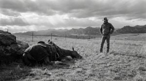 Snippy case on the Colorado range