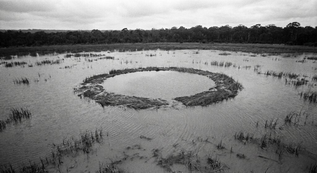 Circular Nest in Lagoon (1966)