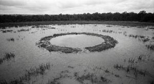 Circular Nest in Lagoon (1966)