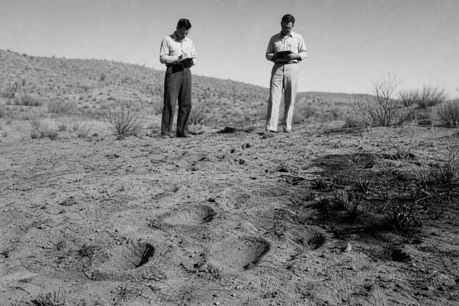 Physical Trace Inspection