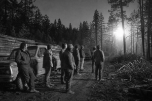 Logging Crew Near Turkey Springs