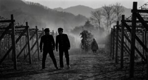 Vineyard Encounter at Dusk