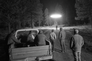 Arizona Forest Encounter